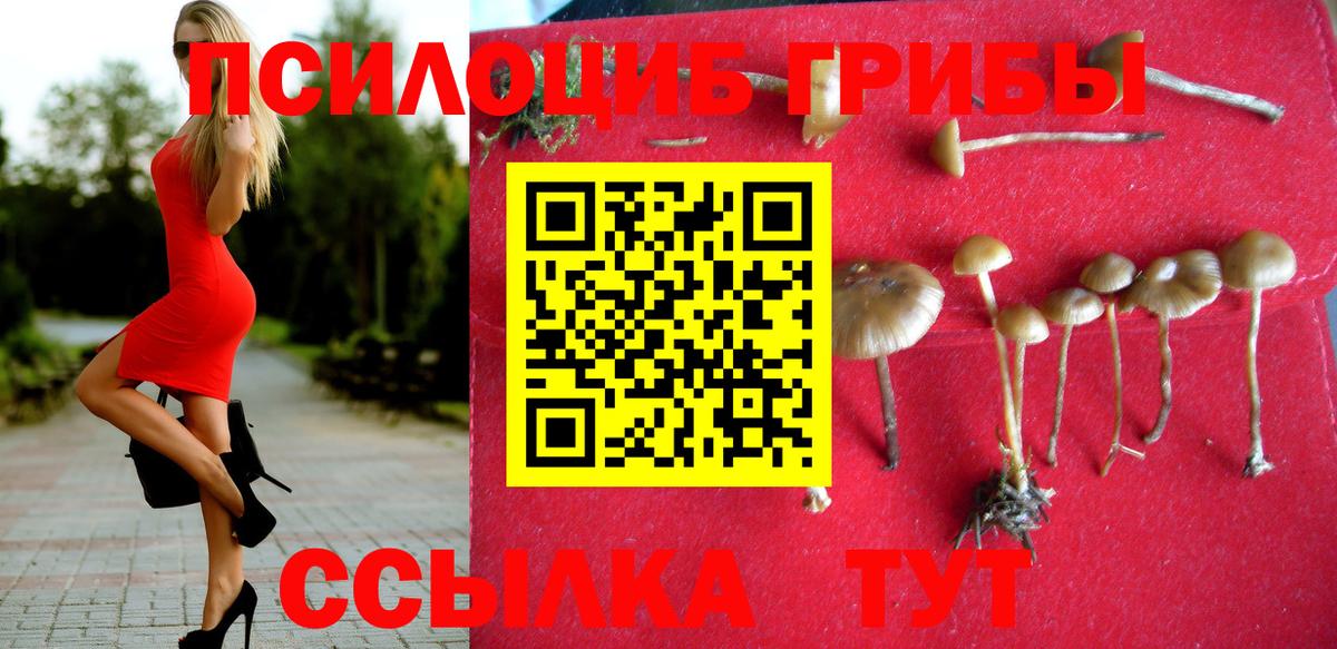 Галлюциногенные грибы Cubensis Хабаровск